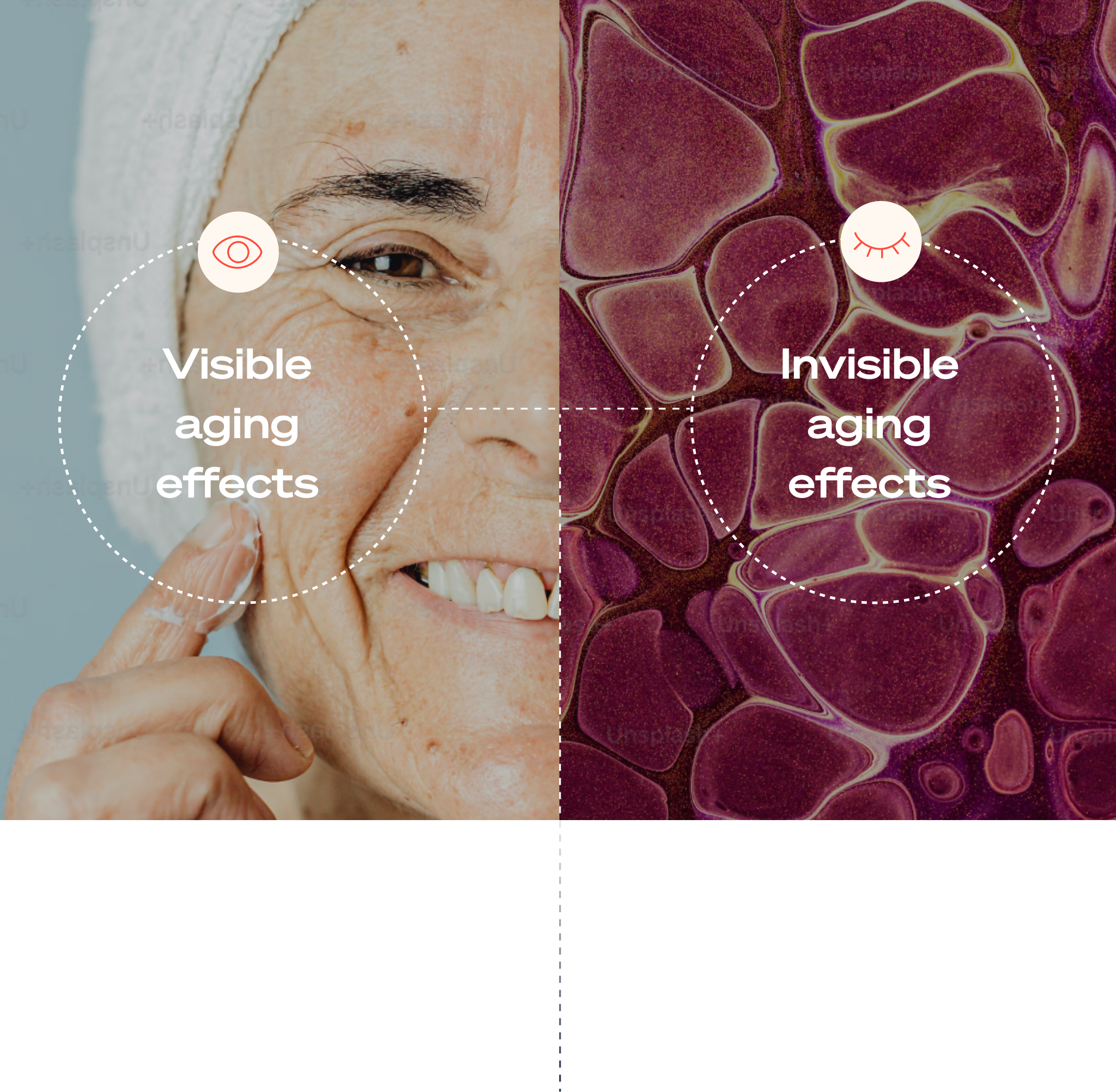 ncbi oral glutathione wrinkles Inflammation, Glutathione, and Autism: Untangling the Complex Web Phenol in dermatology: updated evidence