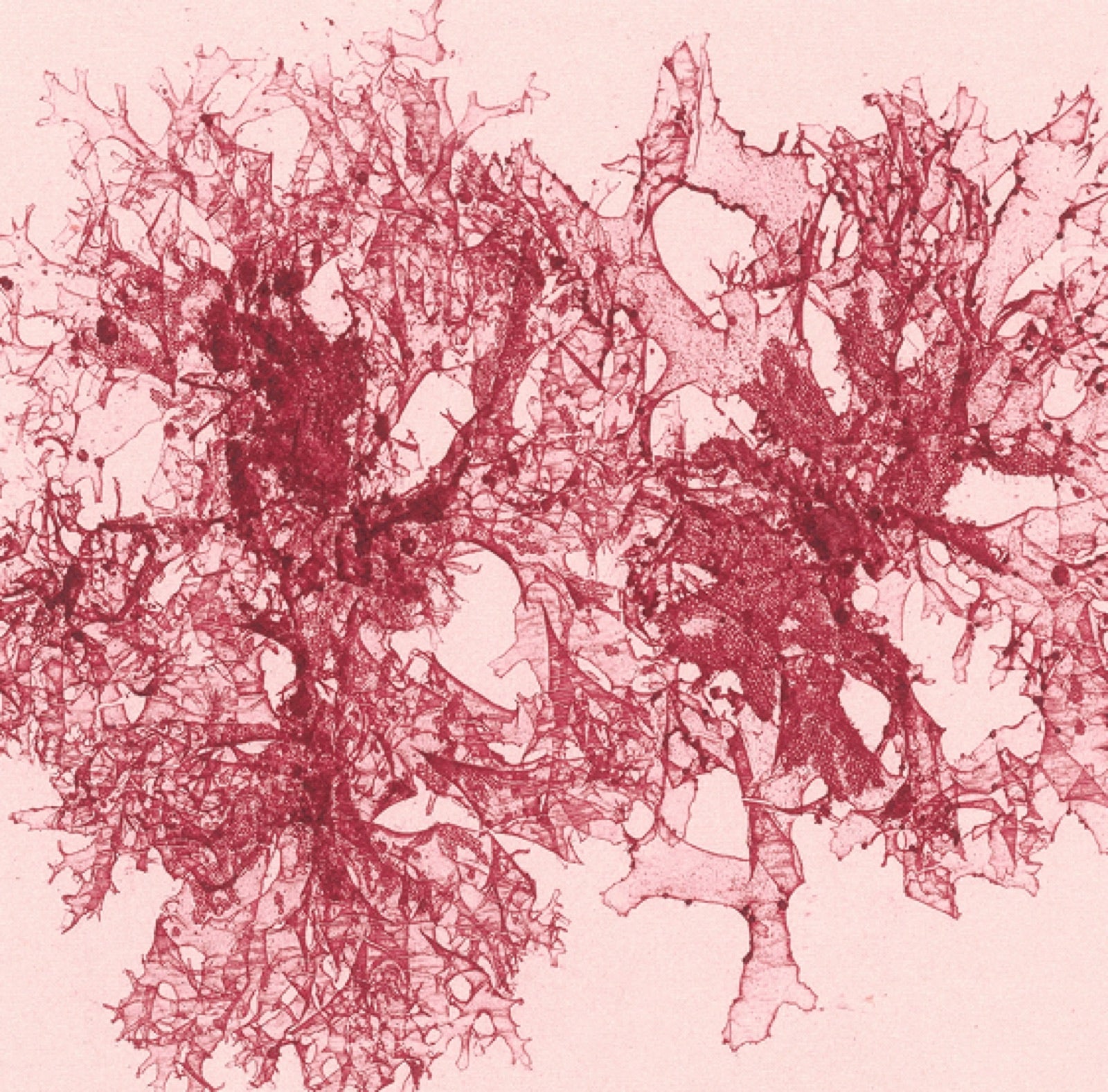 Astaxanthin